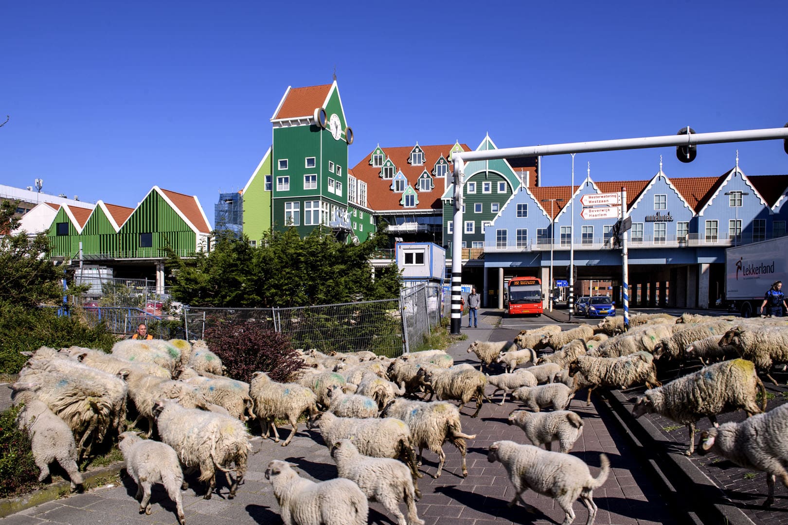 Laadpaal reparatie in zaanstad